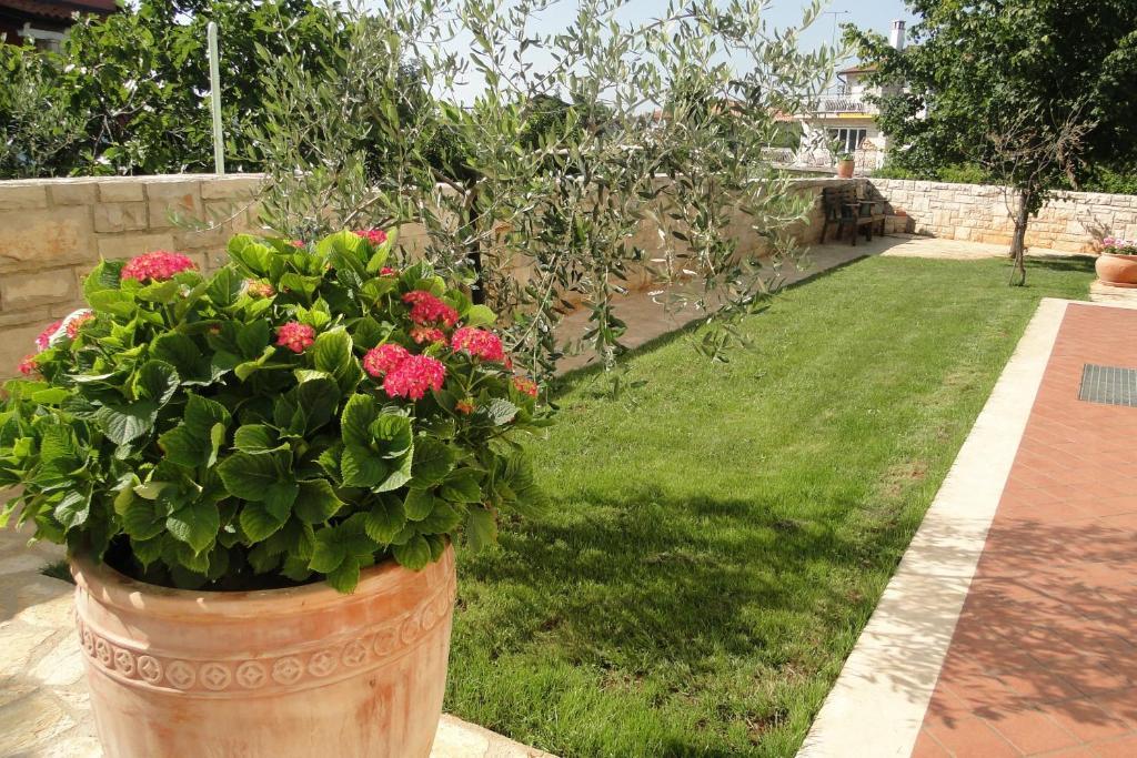 אומאג Apartments Villa Ela מראה חיצוני תמונה